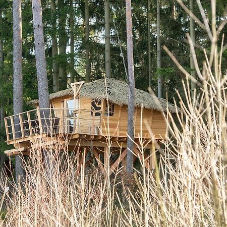 Treehouse U Rybnika Hotel Osecna Exterior foto