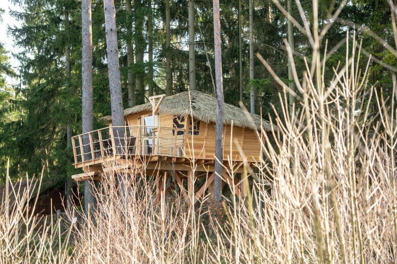 Treehouse U Rybnika Hotel Osecna Exterior foto