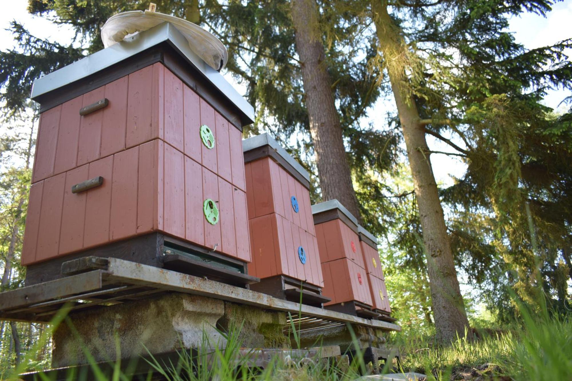 Treehouse U Rybnika Hotel Osecna Exterior foto